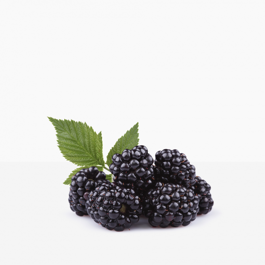 Blackberries