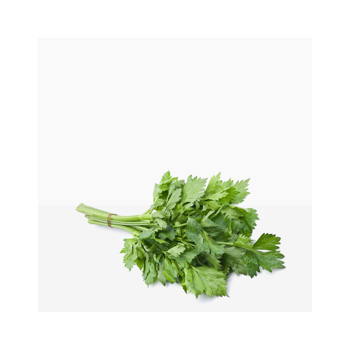 Celery leaves