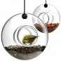 Mini Bird Feeders - set of two