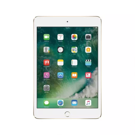 Apple - iPad mini 4 Gold