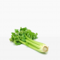 Celery