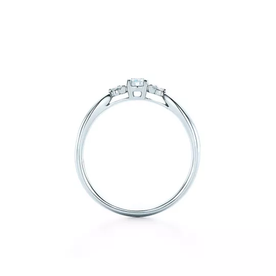 Diamond Ring with Side Stones